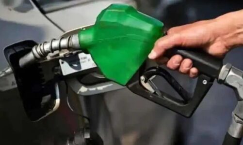 Petrol Diesel Price : E20 पेट्रोल की बिक्री शुरू, क्या पेट्रोल- डीजल के दामों में आएगी कमी? जानें पेट्रोलियम मंत्री ने क्या कहा
