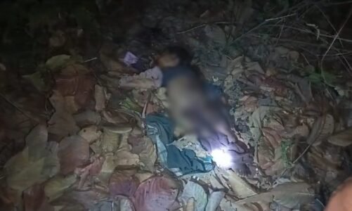 सनसनीखेज मामला : मासूम की गला रेतकर हत्या…पत्ते से ढका मिला शव…पढ़िए पूरी खबर