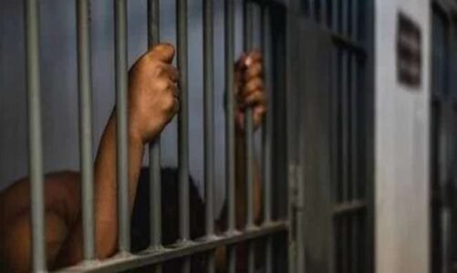 छत्तीसगढ़ -7 साल की बच्ची से दुष्कर्म कर हत्या करने वाले नाबालिग सहित 03 आरोपी को आजीवन कारावास की सजा