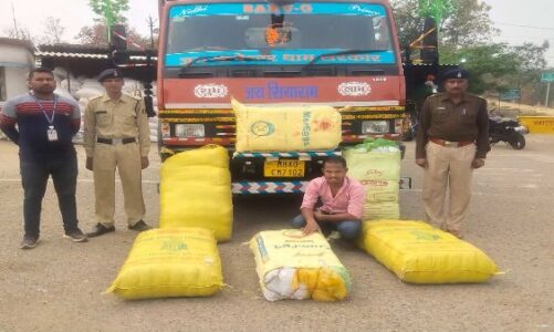 भूसा की आड़ में ट्रक से गांजा की तस्करी…पुलिस ने 72 लाख से ज्यादा के माल के साथ तस्कर को किया गिरफ्तार