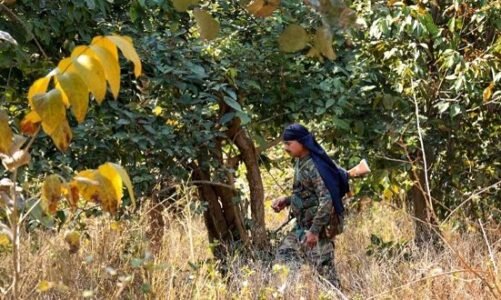 लंबे समय से फरार चल रहे दो नक्सली चढ़े पुलिस के हत्थे…ये वारदात में था शामिल