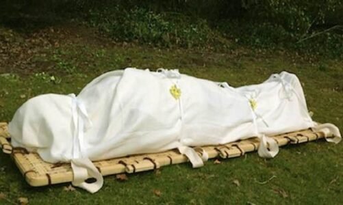 डॉक्टरों ने महिला को घोषित कर दिया मृत, अंतिम संस्कार के लिए ले जाते वक्त हो गई जिंदा, जानिए कैसे हुआ ये चमत्कार…