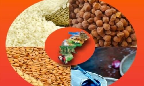 छत्तीसगढ़ में 61 लाख 28 हजार राशन कार्डधारियों ने किया नवीनीकरण के लिए ऑनलाइन आवेदन