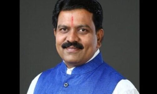 ग्रामीण औद्योगिक पार्क (रीपा) को स्थापित करने में हुए व्यय की होगी जांच- उपमुख्यमंत्री  विजय शर्मा