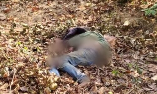 छत्तीसगढ़ – जंगल में युवक की निर्मम हत्या, अज्ञात आरोपियों ने अपहरण कर वाहन से रगड़ा, फिर पत्थर से कुचलकर उतारा मौत के घाट