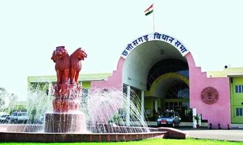 विधानसभा में जोर शोर से उठा महादेव सट्टा एप का मामला, मूणत के सवाल पर डिप्टी सीएम बोले- मछली ही नहीं अगर मगरमच्छ भी होगा तो जरूर पकड़ा जाएगा