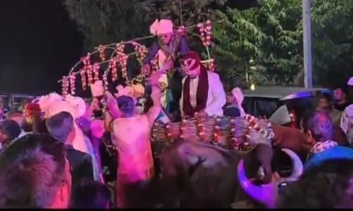 अनोखा विवाह : बैलगाड़ी पर निकली रेलवे के इंजीनियर की बारात…खाने का स्टाल में दिखा छत्तीसगढ़ी रंग