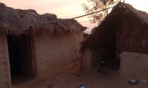 CG NEWS: झोपडी के अंदर निर्वस्त्र अवस्था में मिली महिला की लाश…कपड़े से ठूसा हुआ मुँह क्या हुआ होगा महिला के साथ ? पढ़िए पूरी खबर