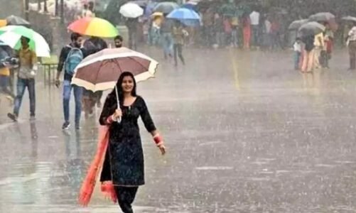 छत्तीसगढ़ में मौसम ने बदली करवट, प्रदेश के कई इलाकों में आज भी बारिश के आसार