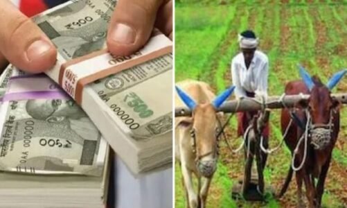 खुशखबरी! किसानों को मिलेगीं बोनस की राशि, बैंक खाते में आएंगे इतने पैसे