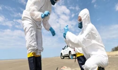 फिर खतरे की घंटी, कोविड से भी 100 गुना बदतर महामारी आने वाली है!, यहां फैला वायरस…पढ़िए पूरी खबर