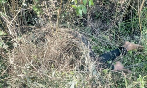 CG NEWS : बाय पास सड़क में मिली युवती की लाश, हत्या की आशंका, इलाके में फैली सनसनी