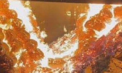 राइस मिल में लगी भीषण आग…लाखों रूपए का धान और बारदाने जलकर खाक…