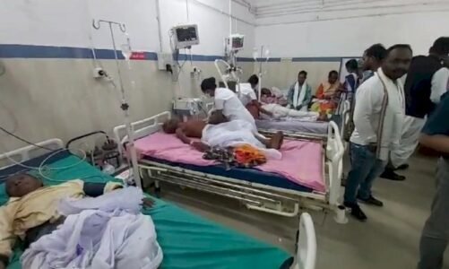 सरहुल पूजन महोत्सव : सीएम साय के पहुंचने से पहले मधुमक्खियों ने बोला हमला, दो दर्जन लोग घायल