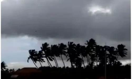 आज बिलासपुर, सरगुजा समेत इन जिलों में हो सकती है बारिश, अधिकतम तापमान में कोई विशेष बदलाव नहीं