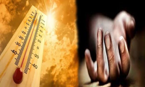 BREAKING : छत्तीसगढ़ में नौतपा का कहर… हीट वेव से दो लोगों की मौत