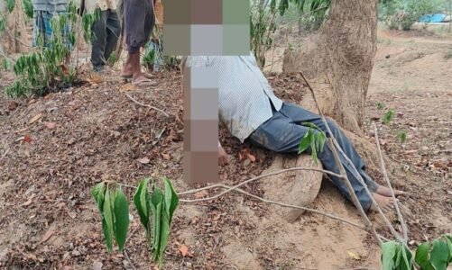 पेड़ पर लटकती मिली अधेड़ की लाश, हत्या की आशंका, जाँच में जुटी पुलिस