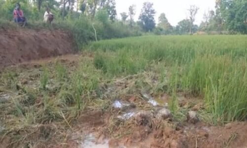 रातभर हाथियों ने मचाई तबाही, घरों में दुबके रहे लोग…अलर्ट जारी