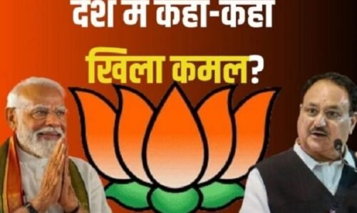 बीजेपी के जीते 240 प्रत्याशियों की पूरी लिस्ट यहां देखिए, कई सालों बाद फिर गठबंधन का दौर लौट आया, कैसे हुआ बहुमत कमजोर