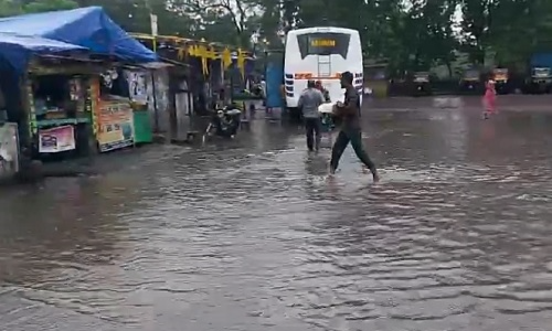 पहली बारिश में खुली नगर पालिका की पोल, नाली जाम, बस स्टैंड बना तालाब, राहगीर परेशान