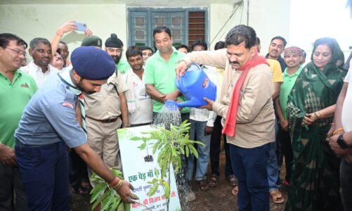 प्रकृति को हरा भरा बनाना है, एक पेड़ मां के नाम लगाना है : विजय शर्मा