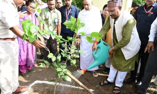 सीएम साय ने अघोर गुरु पीठ ब्रह्मनिष्ठालय परिसर में रोपा करंज का पौधा
