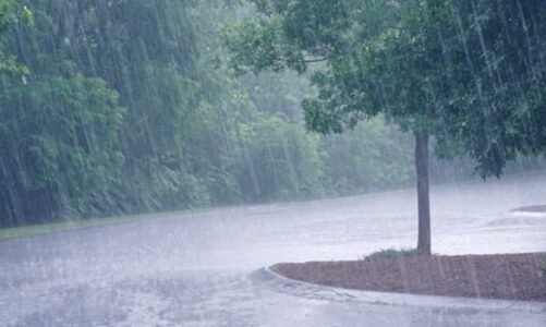 छत्तीसगढ़ के 20 जिलों में भारी बारिश का अलर्ट, महाराष्ट्र छत्तीसगढ़ का टूटा सड़क संपर्क, आवागमन ठप्प