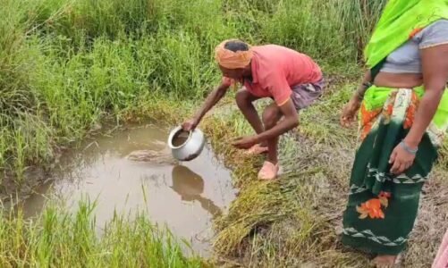 BREAKING: एक ही परिवार के 4 बैगाओं की मौत…जानिए क्या है पूरा  मामला