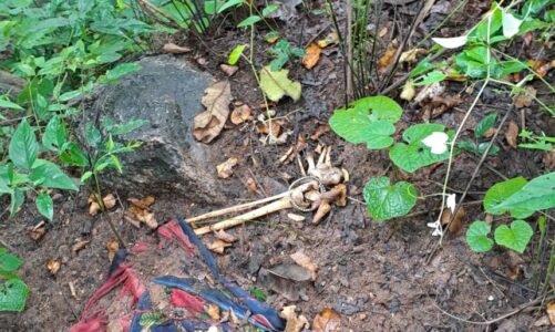 BREAKING : पहाड़ में मिला महिला का नर कंकाल, फैली सनसनी