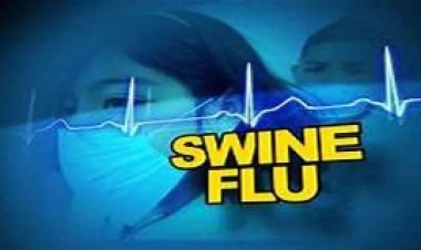 छत्तीसगढ़ में स्वाइन फ्लू का कहर, 15 दिनों में 6 लोगो की मौत…
