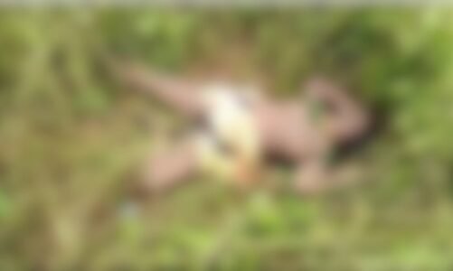 CG – दिल दहला देने वाली वारदात : झाड़ियों में मिली अर्धनग्न अवस्था में महिला की लाश…हैवानियत के बाद हत्या की आशंका