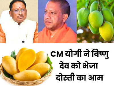 योगी आदित्यनाथ ने मुख्यमंत्री विष्णुदेव साय को उपहार में भेजा आमों का टोकरा, सीएम ने कहा- इन आमों में बसी हैं भगवान श्री राम की यादें…
