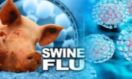 स्वाइन फ्लू ने प्रदेश में बढ़ाई टेंशन, स्वास्थ्य मंत्री ने इलाज को लेकर कही ये बात…