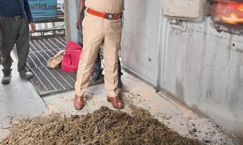 सैकड़ों क्विंटल गांजा रायपुर पुलिस ने आग के हवाले कर किया नष्ट…