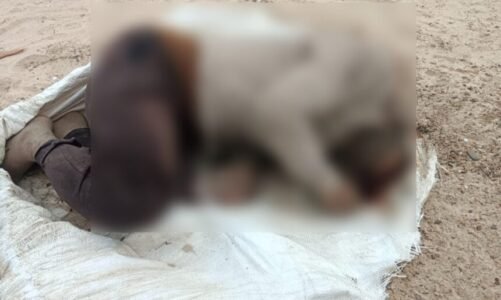 BREAKING: महानदी किनारे बोरी में भरा मिला सिर कटा लाश, 14 सितंबर को गुमशुदगी की हुई थी रिपोर्ट दर्ज
