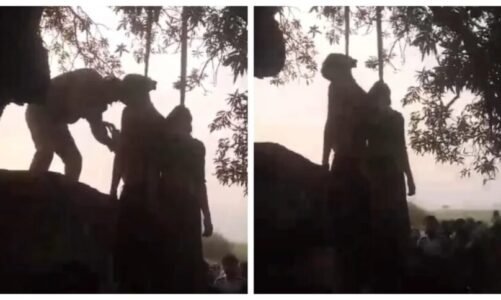 प्रेम कहानी का दर्दनाक अंत: पेड़ में फंदे पर लटके मिले प्रेमी प्रेमिका के शव, मंजर देख परिजनों के भी उड़ें होश