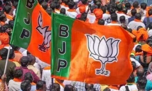 BJP का एक्शन : भाजपा ने जिला पंचायत सदस्य को पार्टी से 6 साल के लिए किया निष्कासित, इस मामले में हुई बड़ी कार्रवाई…
