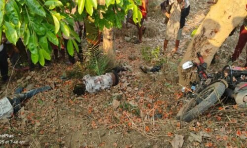 CG : तेज रफ्तार बाइक पेड़ से टकराई, दो की मौत, एक गंभीर घायल