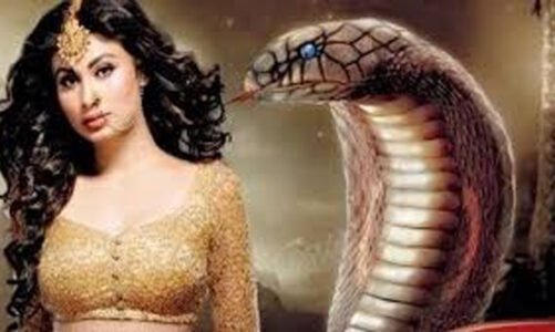 CG : छत्तीसगढ़ के इस जिले में देखा गया इच्छाधारी नाग-नागिन, रात के अंधेरे में मनुष्य का रूप धारण करते थे सांप