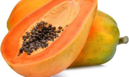 Health NEWS: गर्मियों के मौसम में पपीता खाने के फायदे जो आपको हैरान कर देंगे