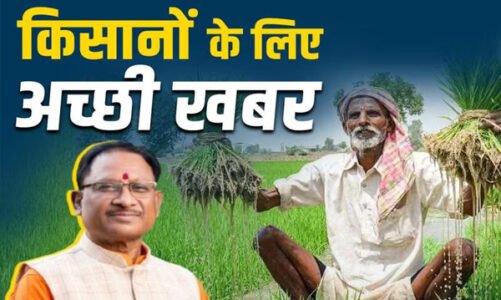 साय सरकार ने किसानों के हित में लिया बड़ा फैसला, अब रेगहा-अधिया खेती करने वालों को भी मिलेगा कृषक उन्नति योजना का लाभ