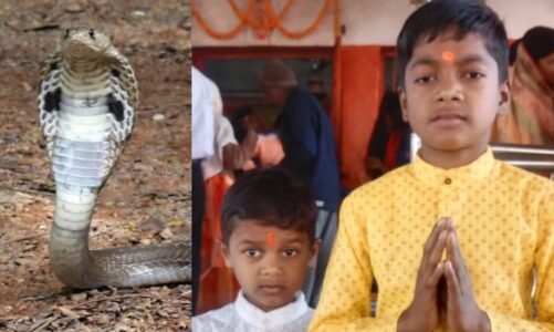 CG : सांप के काटने से दो भाइयों की मौत, गांव में पसरा मातम