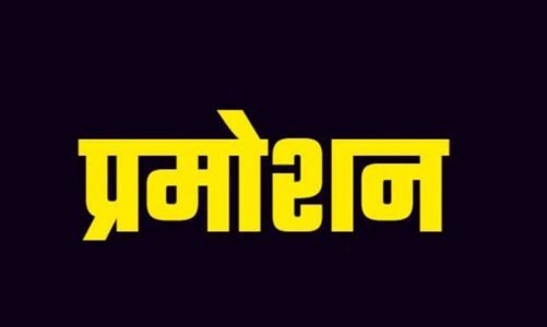 Breaking : नक्सल ऑपरेशन में उत्कृष्ट प्रदर्शन करने वाले 295 पुलिसकर्मियों को सरकार का बड़ा तोहफा, मिला आउट ऑफ टर्न प्रमोशन, देखें सूची…!!