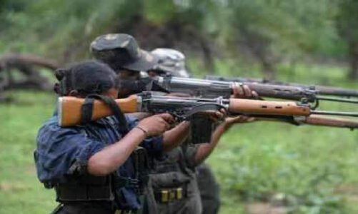 घने जंगल में हुई मोहब्बत, लाल आतंक के साए में महिला नक्सली को ऐसे किया प्रपोजल, जानिए लाखों रुपये के इनामी दो नक्सलियों की अनोखी प्रेम कहानी…..