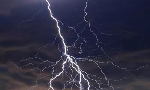 छत्तीसगढ़: मौसम और विद्युत विभाग की लापरवाही ने ली जानें, किसानों को भारी नुकसान