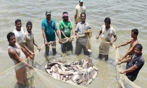 CG : छत्तीसगढ़ में 16 जून से 15 अगस्त तक मछली पकड़ने पर रोक, उल्लंघन करने पर मिलेगी सजा