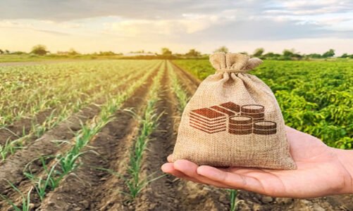 छत्तीसगढ़ में कृषि भूमि के बाजार मूल्य निर्धारण के नियमों में बड़ा बदलाव…