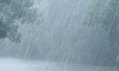 मौसम का बदला मिजाज, कई इलाकों में बारिश का अलर्ट जारी, बस्तर से लेकर रायपुर तक बादलों का रहेगा डेरा