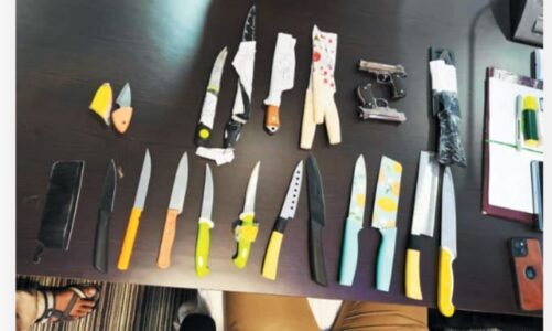 ई कॉमर्स कंपनियां अब भी बेच रही हैं घातक हथियार, पुलिस ने ऑनलाइन मंगाए गए दर्जनों चाकू किए जब्त