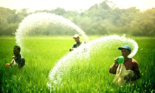 प्रदेश में रासायनिक खाद की पर्याप्त उपलब्धता, किसानों को नैनो उर्वरक अपनाने के लिए किया जा रहा जागरूक: मुख्यमंत्री विष्णुदेव साय